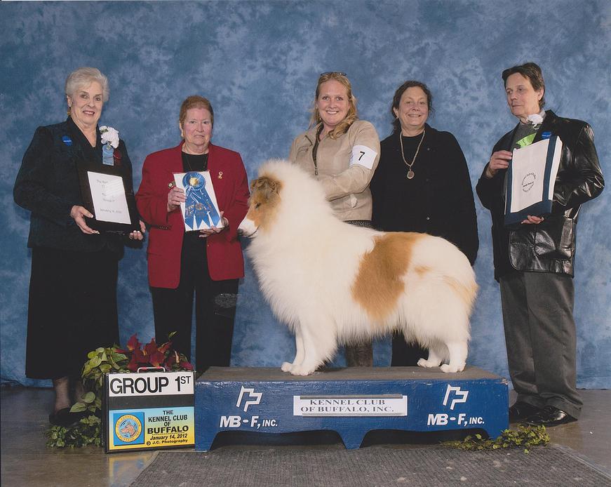 Nickel City Cluster Dog Show